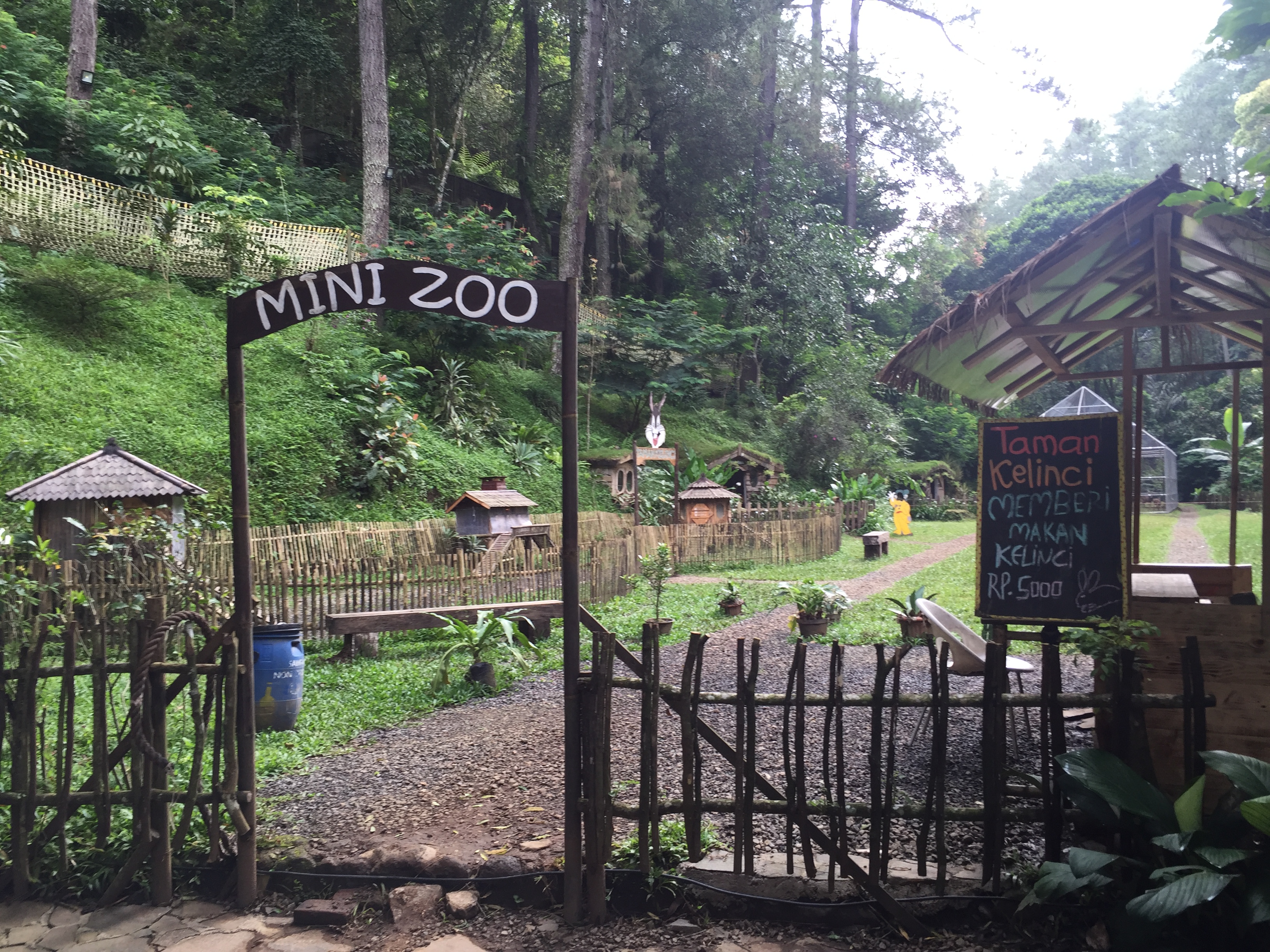 Mini Zoo