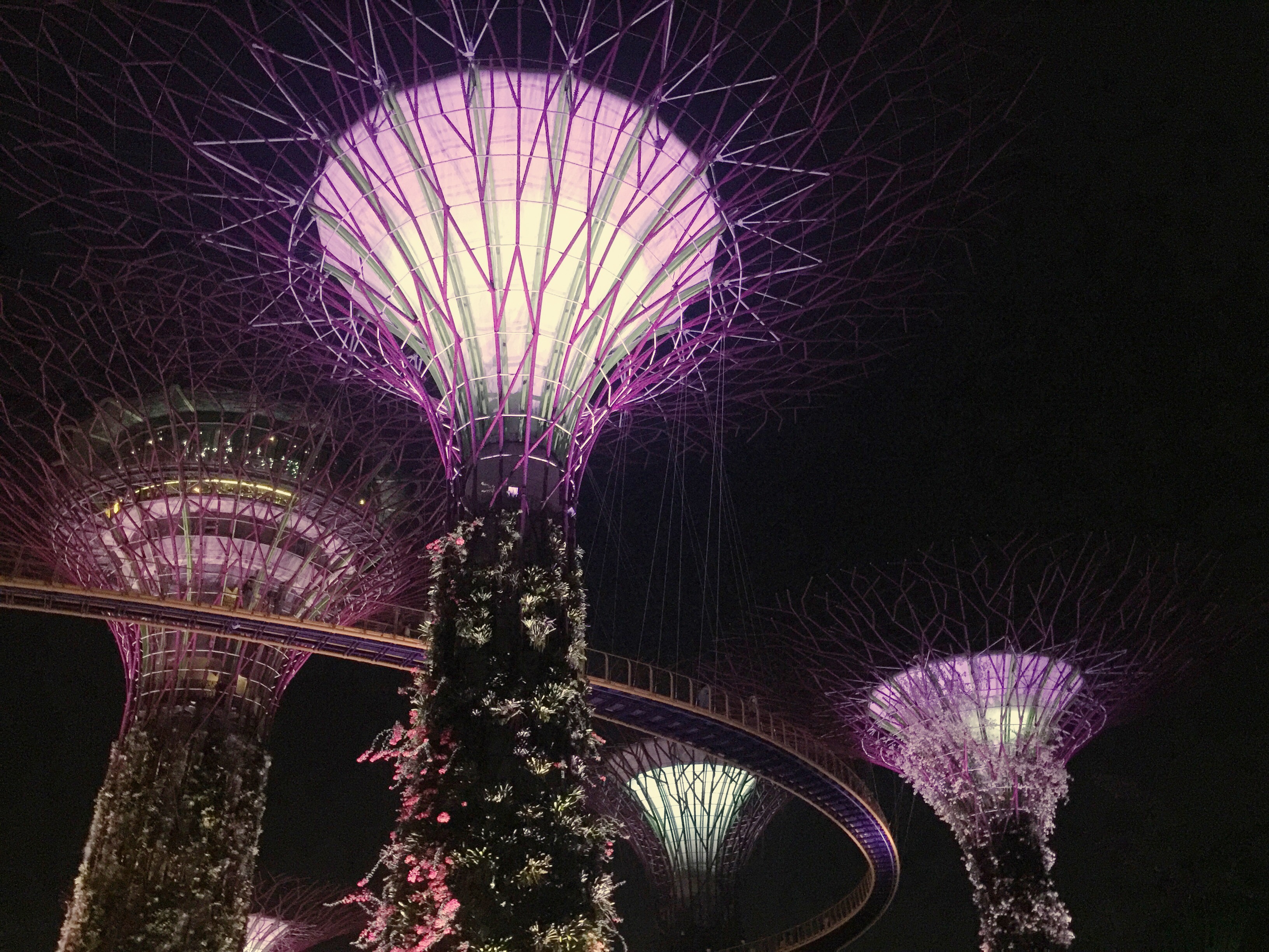 Supertrees, the main vocal point of the Gardens by the Project in Singapore, a hugely popular and ambitious engineering project