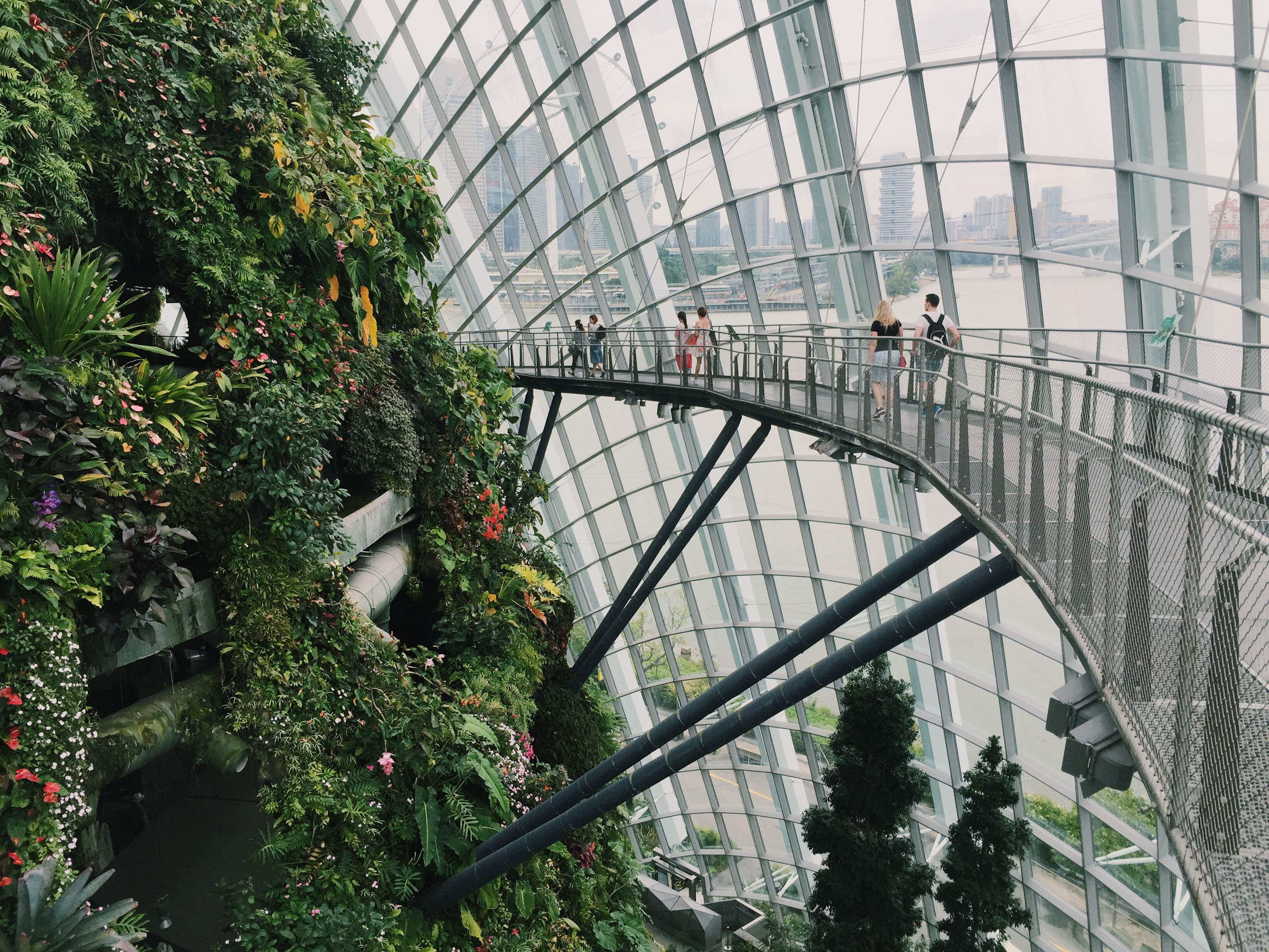 The inside of the cloud forest with seemingly floating pathways encircling the man made mountain